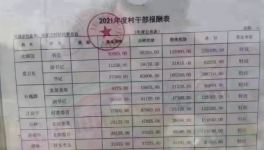 工資曝光！村長“秒殺”水泥廠高管！