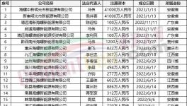 瘋狂！“上下”通吃！海螺連續(xù)成立50多家公司！