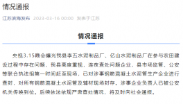 3.15在行動！假海螺水泥“泛濫”！