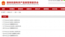 大動作！水泥龍頭企業(yè)高層“大換血”！